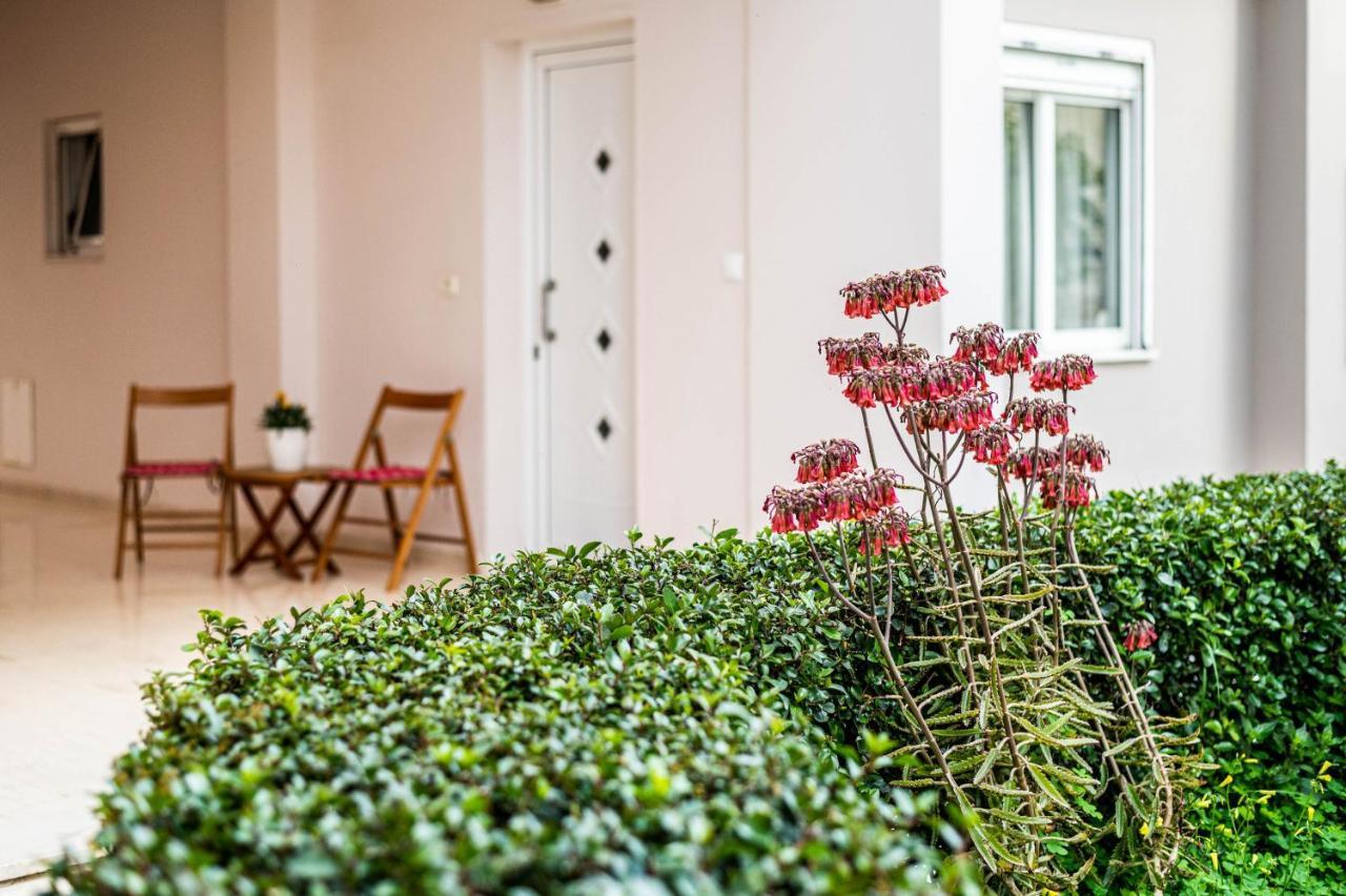 Blossom Ierápetra Dış mekan fotoğraf